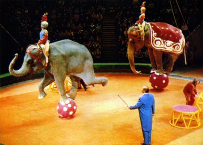 Дрессировщик в цирке
