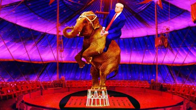 Цирк шапито Никулина