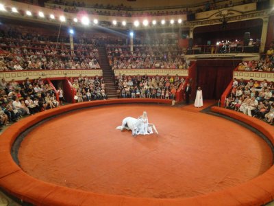 Цирк Никулина манеж