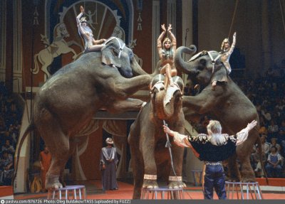 Цирк Никулина на Цветном бульваре