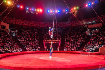 Арена цирка Иваново