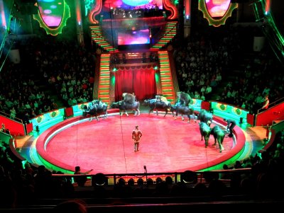 Цирк Никулина Арена