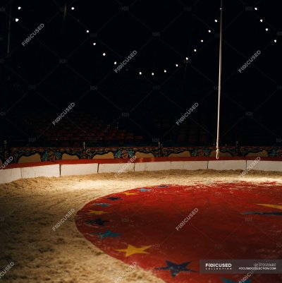 Арена цирка гача