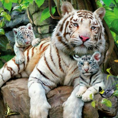 Тигрица с тигрятами