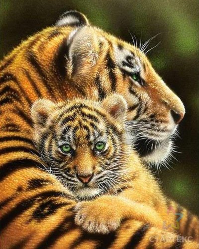 Алмазная мозаика алмазное хобби "тигрица с тигренком" ah51521