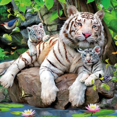 Семья тигров