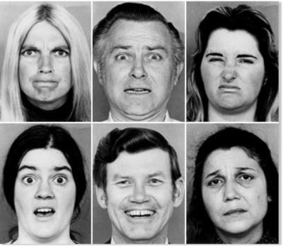 Мимика эмоций пол Экман