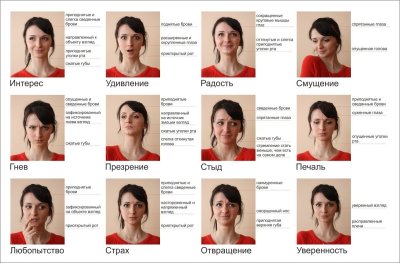 Базовые эмоции человека