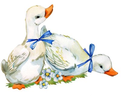 Гусь акварелью