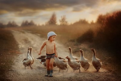 Пасти гусей