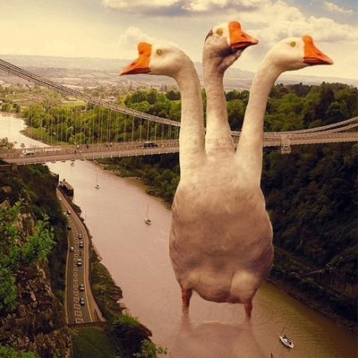 Смешной Гусь