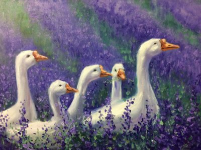 Гуси в лаванде