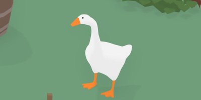 Гусь на зеленом фоне