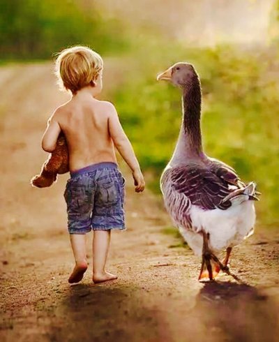 Девочка и Гусь