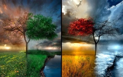 Лето осень зима Весна на одной картинке
