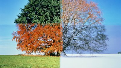 Времена года картинки