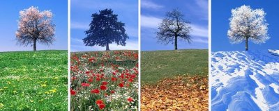 Времена года зима Весна лето осень