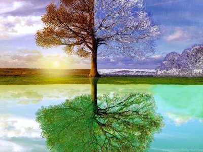 Картина времена года