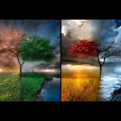 Пейзаж в Разное время года