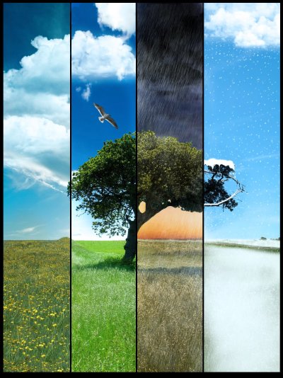 Фон 4 времени года