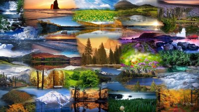 Удивительный мир природы