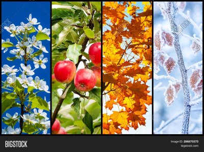 Все времена года