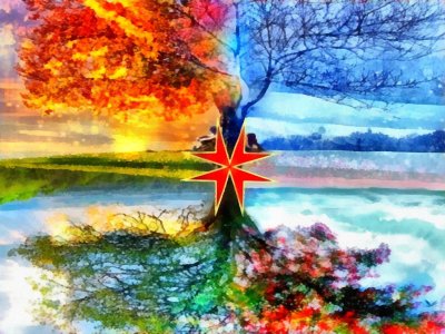 Времена года на дереве