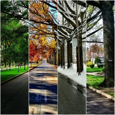 Пейзаж в Разное время года