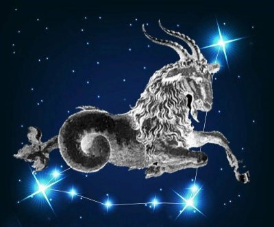 Знак зодиака Козерог Козерог