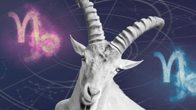 Сестринский знак козерога