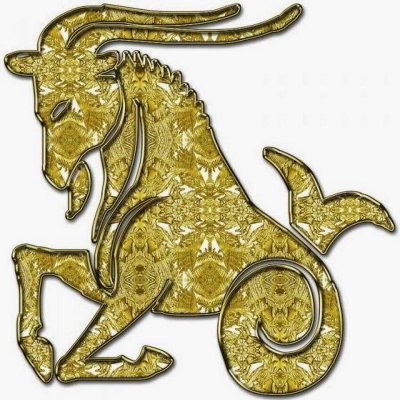 Знак зодиака Козерог Козерог