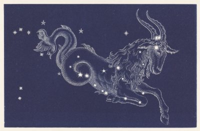 Capricorn Созвездие