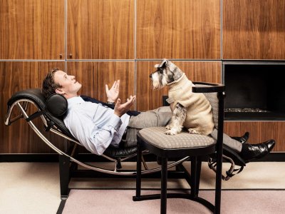 Животные в кресле