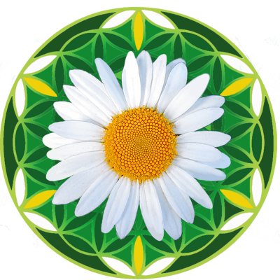 Ромашка для детей