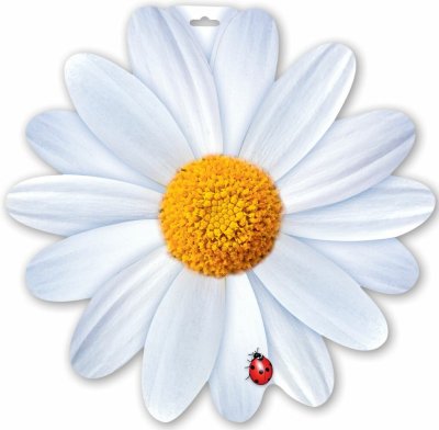 Детский сад Ромашка