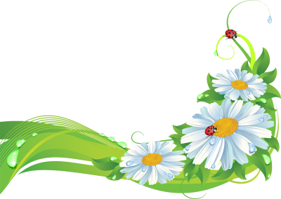 Цветы на прозрачном фоне для детей