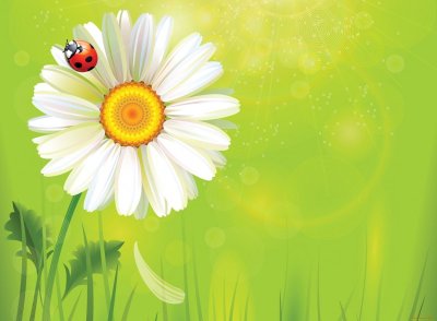 Ромашка рисунок