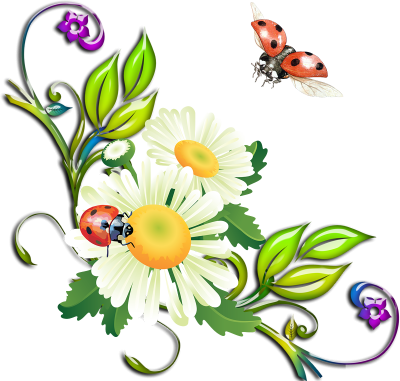 Летний клипарт на прозрачном фоне