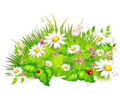 Цветочки для оформления