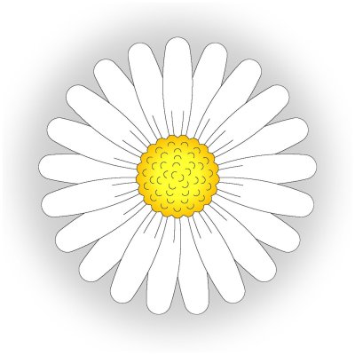 Ромашка на белом фоне