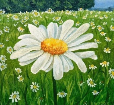 Ромашки красками