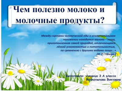 Девиз ромашки для детского сада