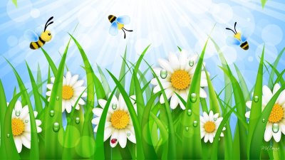 Фон ромашки