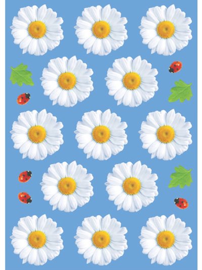 Ромашка декоративная