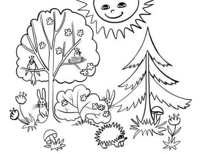 Раскраска леса для детей