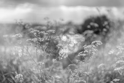 Эстетика лета