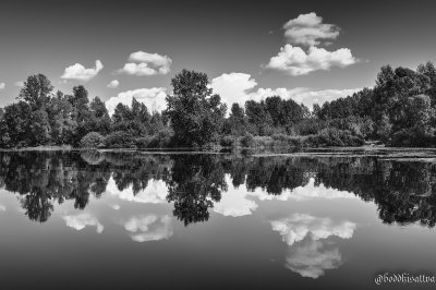 Черно белые пейзажи природы