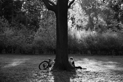 Лето картинки