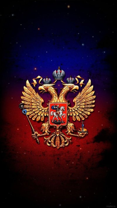 Верба в России