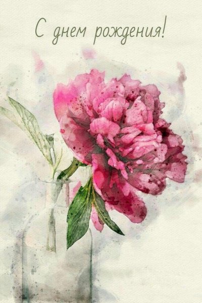 Открытка «пион»